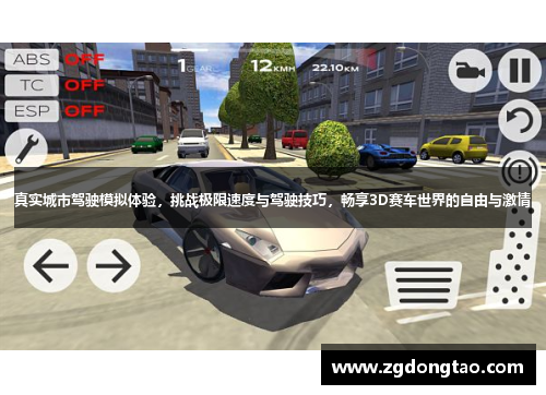 真实城市驾驶模拟体验，挑战极限速度与驾驶技巧，畅享3D赛车世界的自由与激情